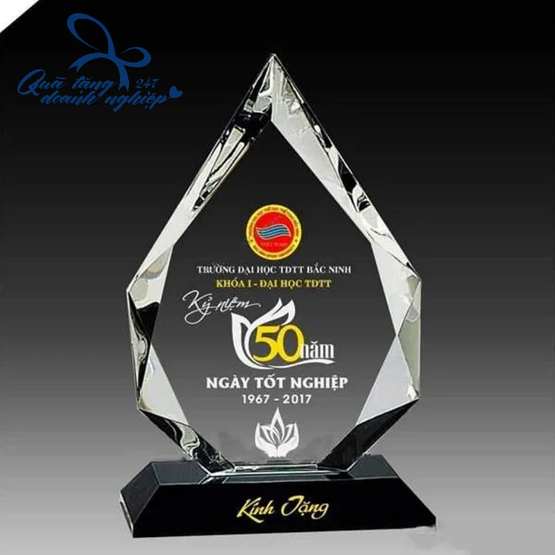 Kỷ Niệm Chương Pha Lê Cho Trường Học In Theo Yêu Cầu